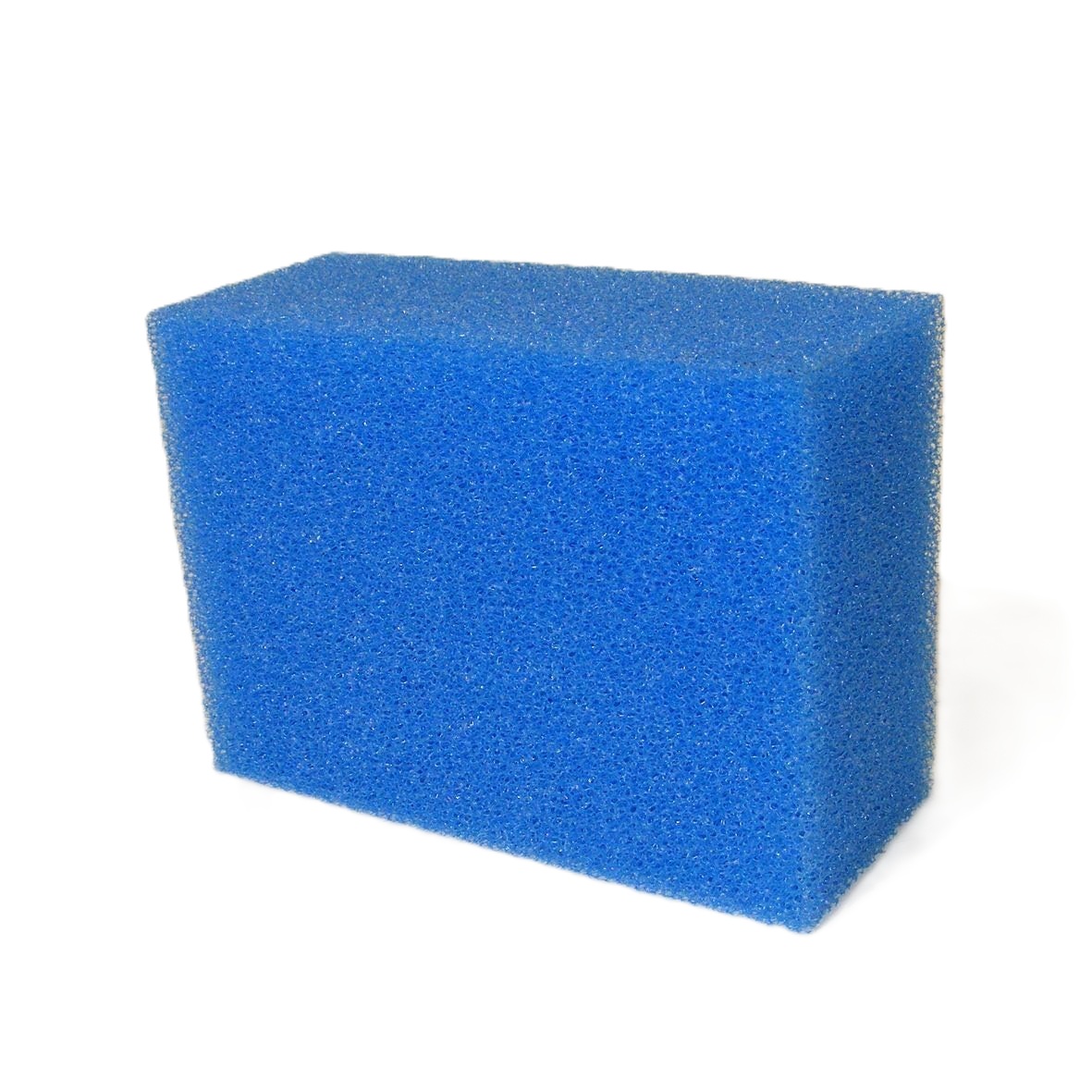 Mousse BLEU Biotec 18-36 vieux modèle Taille de la mousse Oase : longueur 15,5 cm largeur 9 cm hauteur 21,5 cm, donc 2 mousses par rapport à 1 nouvelle