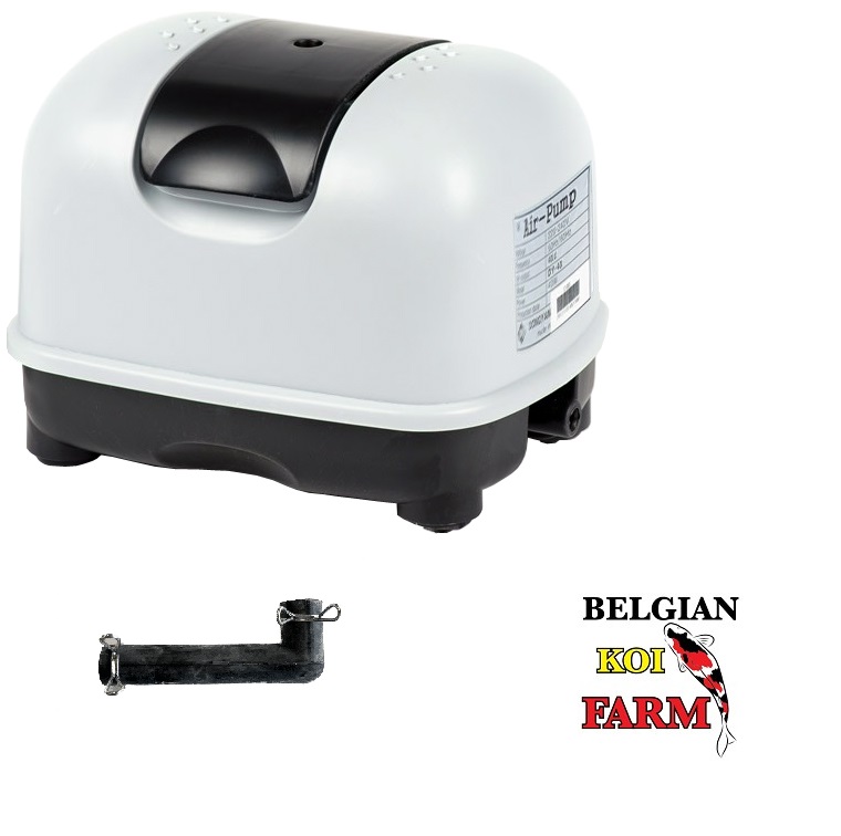 Pompe à air DY-20 bassin