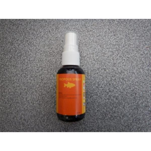 PROPOLIS spray antiseptique 50ml