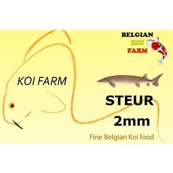 Esturgeon nourriture coulante 6mm 1 kg