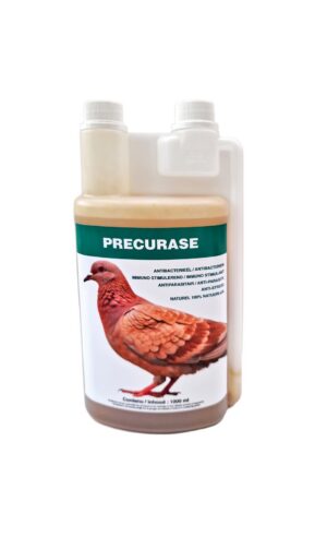 Precurase pour pigeons 1litre, probiotique contre parasites intestinaux a fomule unique sans antibiotiques et sans chimiques ayant des propriétés anti-inflammatoires, antioxydantes et antimicrobiennes  - antibactérien.