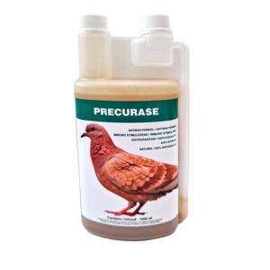 Precurase voor duiven 1liter, probioticum tegen darmparasieten met een unieke formule zonder antibiotica en zonder chemicaliën met ontstekingsremmende, antioxiderende en antimicrobiële eigenschappen – antibacterieel.